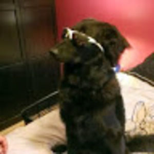 Meet your Posher, Maggie